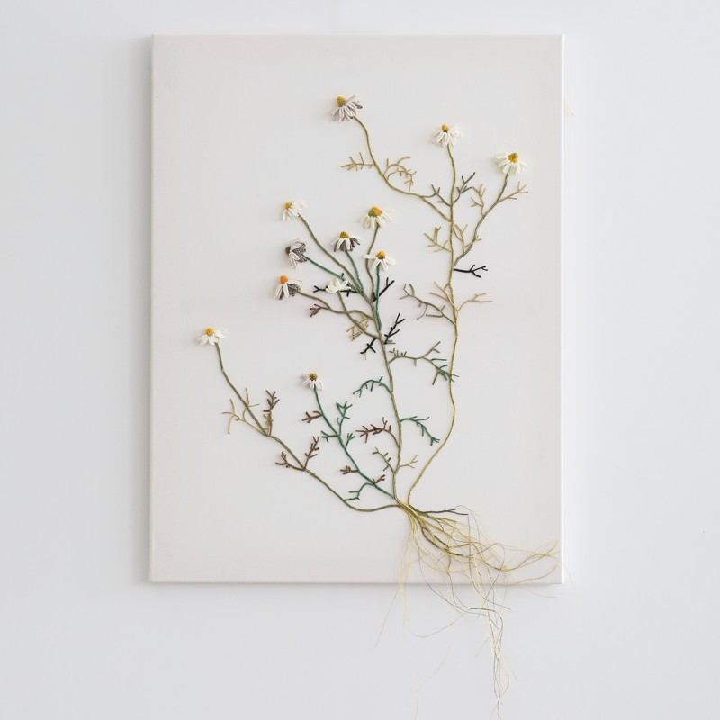  Laurentine PERILHOU - Marguerites